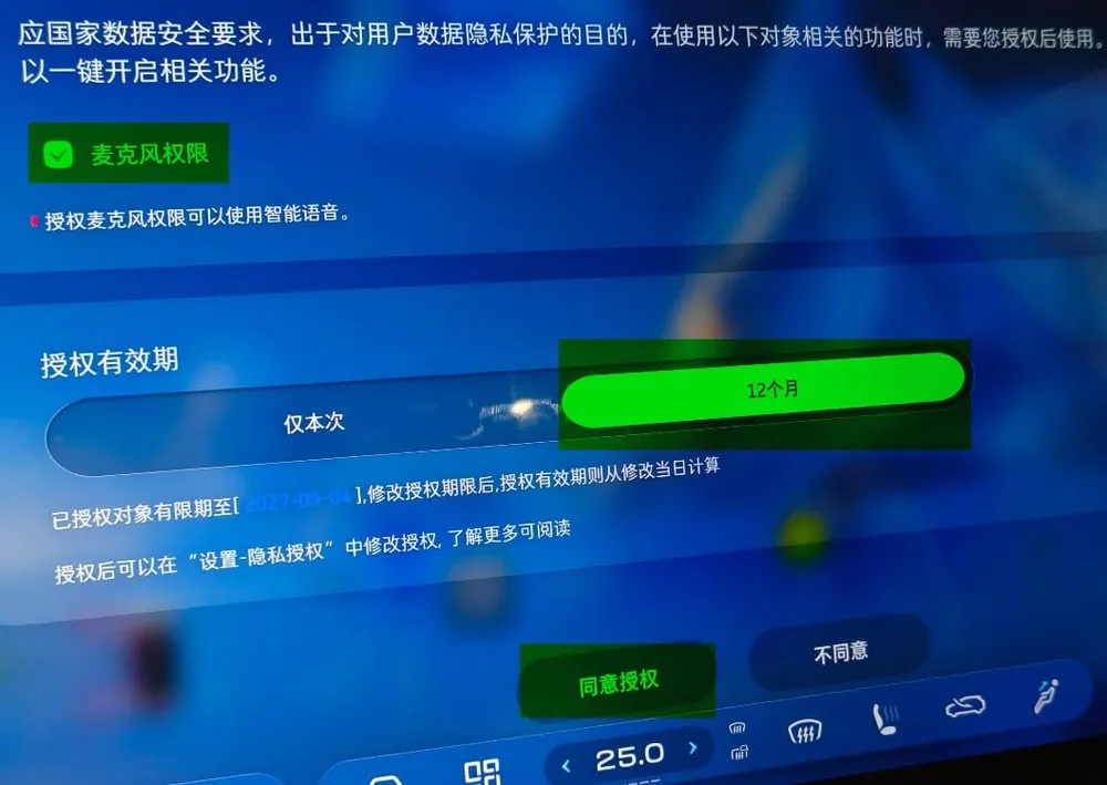 Privacy authorisation screen with the 12-month option and the grant button marked