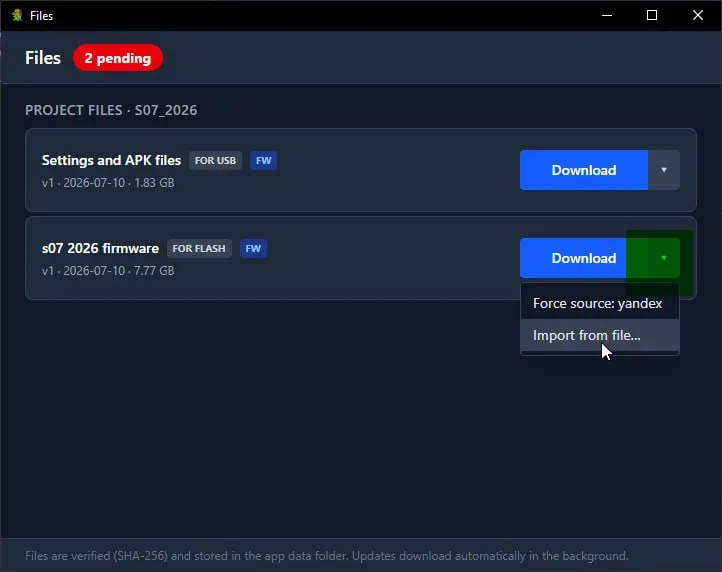 Files window with the Import from file menu open
